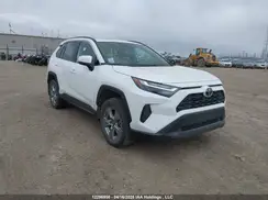 2T3R1RFV9RC411404 2024 TOYOTA RAV 4