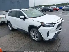 2T3R1RFV9RC426145 2024 TOYOTA RAV 4