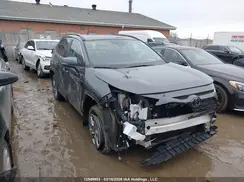 2T3R1RFV9RC452065 2024 TOYOTA RAV 4