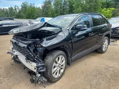 2T3R1RFV9RC483557 2024 TOYOTA RAV 4