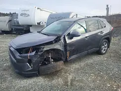 2T3R1RFV9RC486376 2024 TOYOTA RAV 4