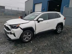 2T3R1RFV9SC497187 2025 TOYOTA RAV 4