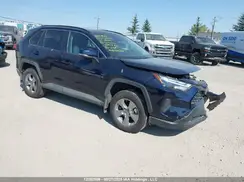 2T3R1RFV9SW504251 2025 TOYOTA RAV 4