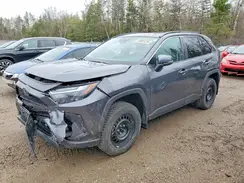 2T3R1RFVXPC350738 2023 TOYOTA RAV 4
