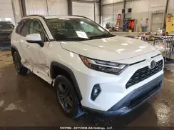2T3R1RFVXRW484098 2024 TOYOTA RAV 4