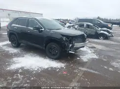 2T3R1RFVXSC511923 2025 TOYOTA RAV 4