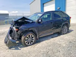 2T3R1RFVXSC559406 2025 TOYOTA RAV 4