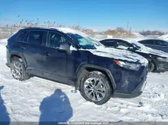 2T3R1RFVXSW548517 2025 TOYOTA RAV 4