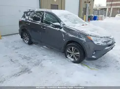 2T3RFREV0GW506027 2016 TOYOTA RAV 4
