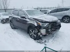 2T3RFREV1GW529378 2016 TOYOTA RAV 4