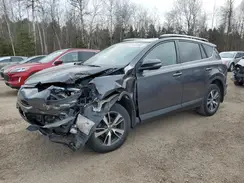 2T3RFREV1JW784488 2018 TOYOTA RAV 4