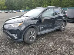 2T3RFREV2HW645190 2017 TOYOTA RAV 4