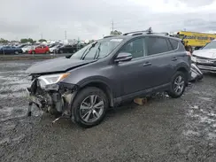 2T3RFREV2HW649367 2017 TOYOTA RAV 4