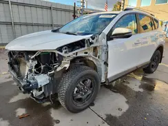 2T3RFREV3HW593780 2017 TOYOTA RAV 4