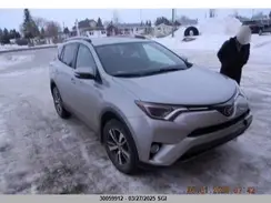 2T3RFREV3HW621903 2017 TOYOTA RAV 4