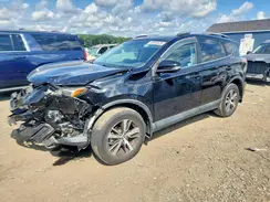 2T3RFREV4GW490561 2016 TOYOTA RAV 4
