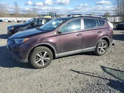 2T3RFREV4GW493380 2016 TOYOTA RAV 4