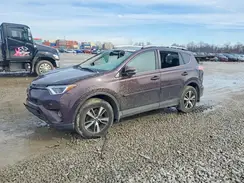 2T3RFREV4GW528807 2016 TOYOTA RAV 4