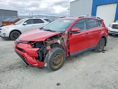 2T3RFREV4HW668213 2017 TOYOTA RAV 4