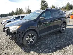 2T3RFREV5GW482453 2016 TOYOTA RAV 4
