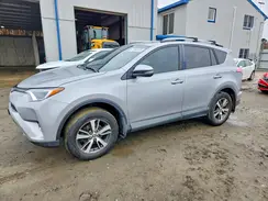 2T3RFREV5HW559338 2017 TOYOTA RAV 4
