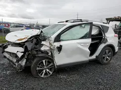 2T3RFREV5HW664428 2017 TOYOTA RAV 4