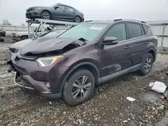 2T3RFREV6GW463104 2016 TOYOTA RAV 4