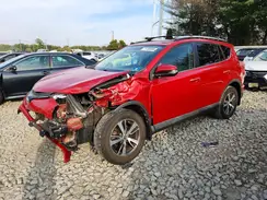 2T3RFREV7GW488044 2016 TOYOTA RAV 4