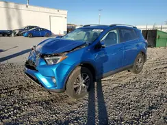 2T3RFREV8GW470104 2016 TOYOTA RAV 4