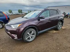 2T3RFREV8GW477439 2016 TOYOTA RAV 4