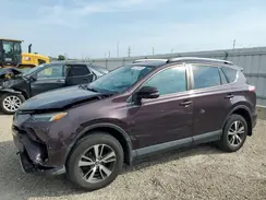 2T3RFREV8HW640141 2017 TOYOTA RAV 4