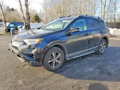 2T3RFREV8HW670384 2017 TOYOTA RAV 4