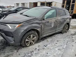 2T3RFREV9HW685346 2017 TOYOTA RAV 4