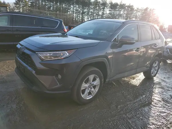 2T3RWRFV0KW045872 2019 TOYOTA RAV 4 - Image 1