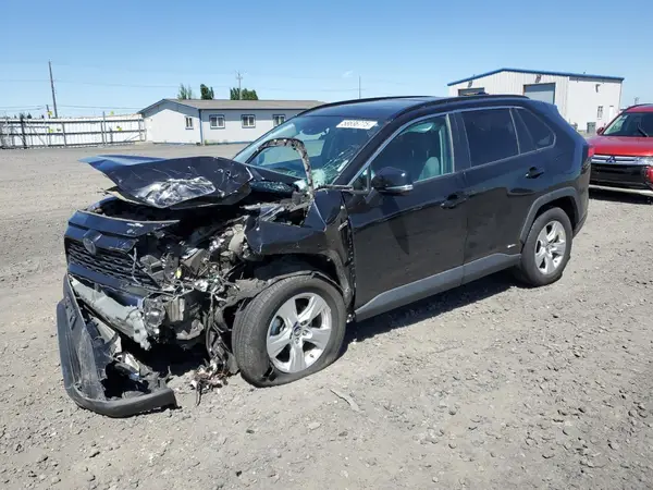 2T3RWRFV0LW091705 2020 TOYOTA RAV 4 - Image 1