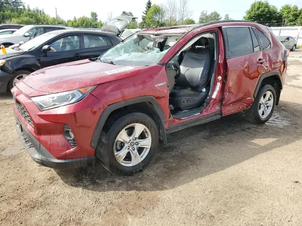2T3RWRFV0LW100564 2020 TOYOTA RAV 4 - Image 1