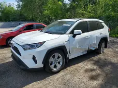 2T3RWRFV0MW124221 2021 TOYOTA RAV 4
