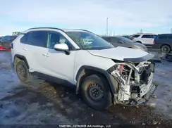 2T3RWRFV0PW165341 2023 TOYOTA RAV 4
