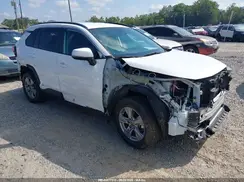 2T3RWRFV0PW181250 2023 TOYOTA RAV 4