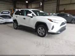 2T3RWRFV0PW184553 2023 TOYOTA RAV 4