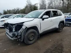 2T3RWRFV0RW190629 2024 TOYOTA RAV 4