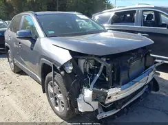 2T3RWRFV0RW201953 2024 TOYOTA RAV 4