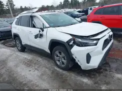 2T3RWRFV0RW202665 2024 TOYOTA RAV 4