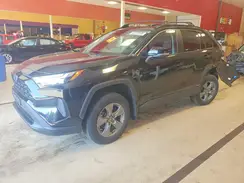 2T3RWRFV0RW208112 2024 TOYOTA RAV 4