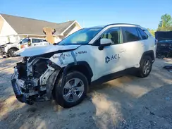 2T3RWRFV0RW219045 2024 TOYOTA RAV 4