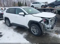 2T3RWRFV0RW221524 2024 TOYOTA RAV 4