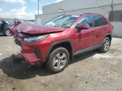 2T3RWRFV0RW242146 2024 TOYOTA RAV 4