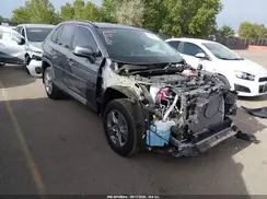 2T3RWRFV0RW244656 2024 TOYOTA RAV 4