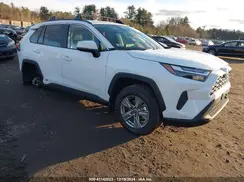 2T3RWRFV0RW250781 2024 TOYOTA RAV 4