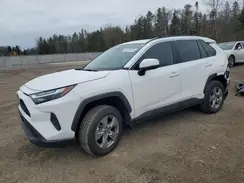 2T3RWRFV0RW250828 2024 TOYOTA RAV 4